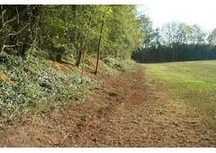 Land Clearing Randwick