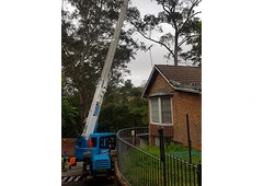 Crane Tower Specialists Northern Beaches