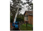 Crane Tower Specialists Northern Beaches