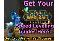 Joanas 1-60 Classic WoW Leveling Guides